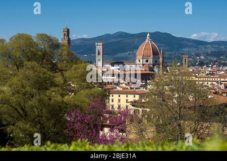 Vue de printemps sur la cathédrale Saint Marie de la fleur (Cattedrale di Santa Maria del Fiore) et les arbres roses blancs en premier plan. Florence, Tusca Banque D'Images