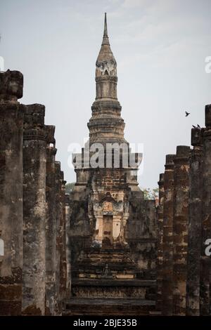 Temple Wat Mahatat , Parc historique de Sukhothai, Sukhothai, Thaïlande. Banque D'Images