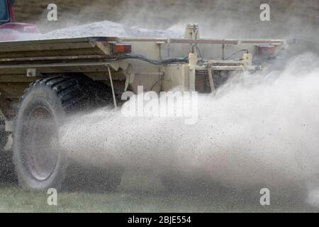 gros plan de calcaire en poudre se répandant sur un pâturage. North Yorkshire, Royaume-Uni. Banque D'Images