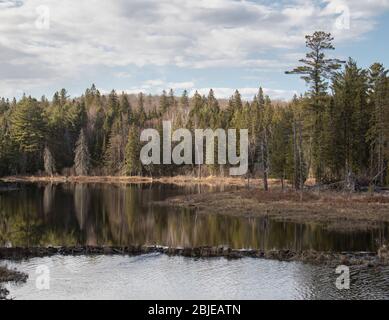 L'eau coule au-dessus d'un petit barrage sur un étang au printemps dans le parc Algonquin Banque D'Images