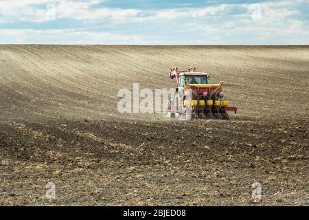 Le tracteur agricole fertilise dans un champ labouré, horizon et nuages sur le ciel Banque D'Images