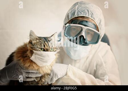 Médecin de l'homme dans des lunettes de protection avec les bras croisés et le chaton de chat est sûr du coronavirus dans le masque de protection médicale. Pandémie mondiale Banque D'Images