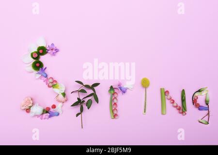 Printemps de mot fait d'herbes et de fleurs sur fond de couleur Banque D'Images
