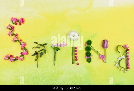 Printemps de mot fait d'herbes et de fleurs sur fond de couleur Banque D'Images
