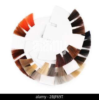 Palette d'échantillons de couleurs de cheveux sur fond blanc Banque D'Images
