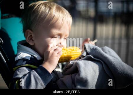 Un petit garçon s'assoit dans une poussette et mange du maïs. Banque D'Images