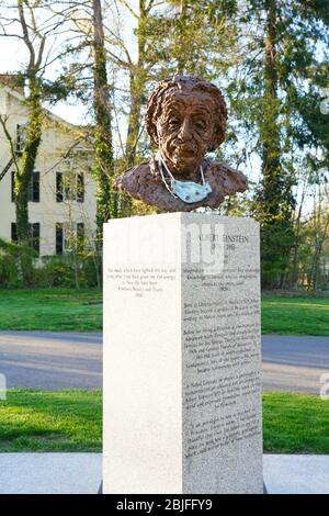 PRINCETON, NJ -22 APR 2020- vue de la statue d'Albert Einstein sur la place EMC à Princeton, New Jersey, recouvert d'un masque de visage en tissu pendant l'ordre de marche Banque D'Images