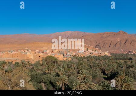 Tinghir Maroc Skyline avec palmiers Banque D'Images