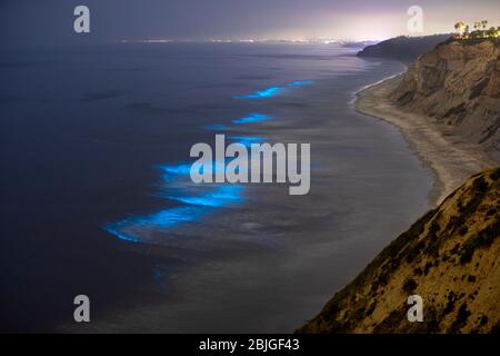 San Diego, Californie, États-Unis. 28 avril 2020. Les vagues bleues, illuminées par la lumière des organismes bioluminescents, s'écrasent le long de la côte de la plage de Blacks dans la communauté de la Jolla. La lumière émise par un organisme bioluminescent est produite par l'énergie libérée par des réactions chimiques qui se produisent à l'intérieur (ou éjectées par) de l'organisme. Crédit: KC Alfred/ZUMA Wire/Alay Live News Banque D'Images