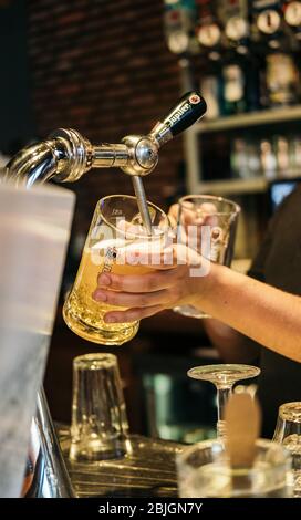 Bartender pouring une bière de touchez Banque D'Images