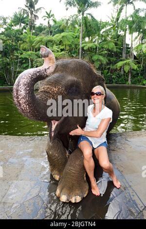 Arbeitselefant, éléphant d'Asie (Elephas maximus), pose touristique avec un éléphant, Mason Elephant Park & Lodge, Tegallaang, Bali, Indonésie Banque D'Images