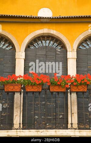 Détail fenêtre dans Campo Santo Stefano, San Marco District, Venise, Italie Banque D'Images