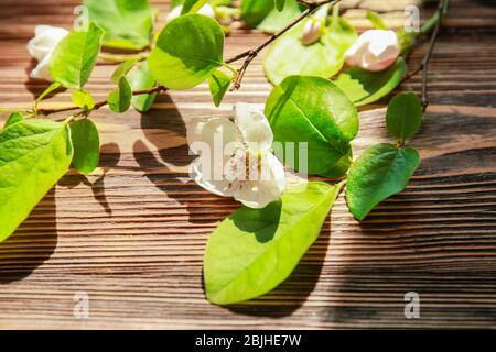 Belles fleurs fleuries sur table en bois Banque D'Images