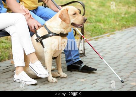 Jeune femme et aveugle avec chien-guide assis sur un banc dans le parc Banque D'Images