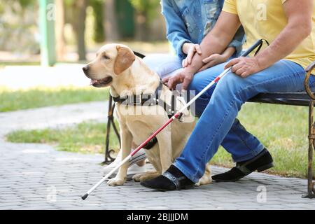 Jeune femme et aveugle avec chien-guide assis sur un banc dans le parc Banque D'Images