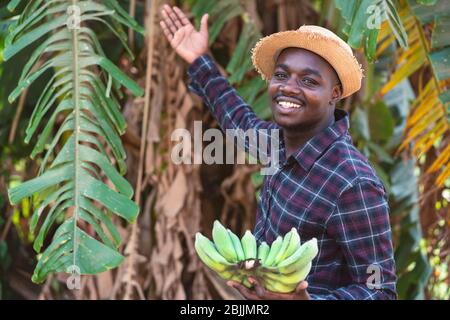 Cultivateur africain tenant la banane à la ferme biologique avec sourire et heureux.Agriculture ou concept de culture Banque D'Images