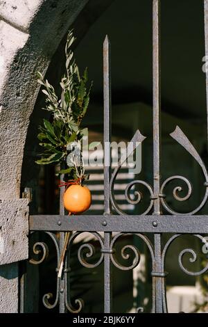 Une branche orange et chêne cloué à la porte d'une maison. Badnjak est un jour férié serbe national, un analogue de la veille de Noël. Badnjak C'est solennellement Banque D'Images