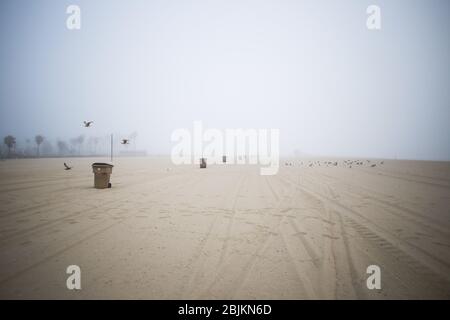 Santa Monica, États-Unis. 25 avril 2020. Une plage déserte au parc Ocean pendant le verrouillage au milieu de Coronavirus. Le ministère de la Santé des États-Unis a enregistré un total de 1,06 M d'infections, la mort 61,361 et 123 a été récupérée depuis le début de l'épidémie. Crédit: SOPA Images Limited/Alay Live News Banque D'Images