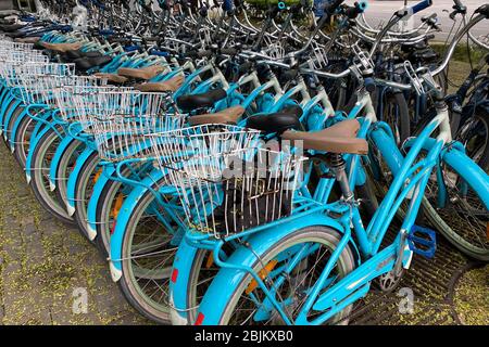 Munich. 29 avril 2020. La vie publique en temps de pandémie de coronavirus le 29 avril 2020 à Munich. Les vélos de Mike's Bike Tours et Rentals sont bondés dans le centre-ville. En raison de la pandémie de corona, aucun touriste n'est en déplacement et l'entreprise a fini. | utilisation dans le monde crédit: dpa/Alay Live News Banque D'Images