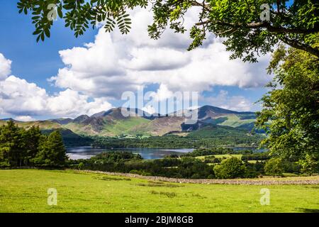 Vue sur Derwent Water à Cat Bells dans le Lake District National Park, Cumbria, Angleterre, Royaume-Uni Banque D'Images