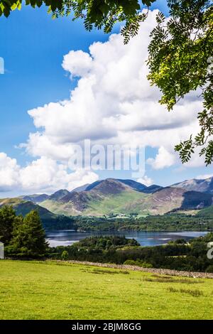 Vue sur Derwent Water à Cat Bells dans le Lake District National Park, Cumbria, Angleterre, Royaume-Uni Banque D'Images