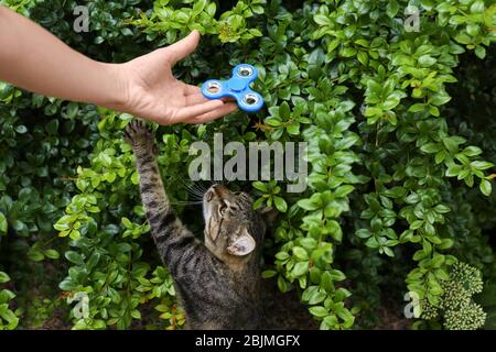 Femme roulant et jouer avec chat à l'extérieur Banque D'Images