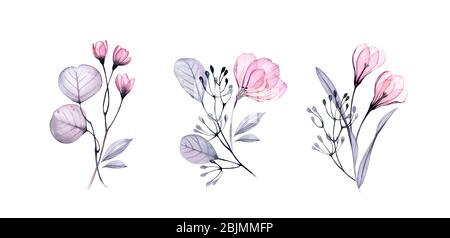 Ensemble fleuri aquarelle. Fleurs et feuilles transparentes. Collection de trois bouquets isolés sur blanc. Illustration botanique pour le design de mariage Banque D'Images