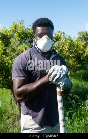 Un migrant au travail dans la campagne de Calabre dans le sud de l'Italie porte un masque pour se protéger de l'infection du Coronavirus (Covid-19). En Italie, il y a de nombreuses difficultés dans l'agriculture parce qu'il n'y a pas de travailleurs pour la récolte des fruits et légumes. 04/30/2020, Corigliano-Rossano, Italie Banque D'Images