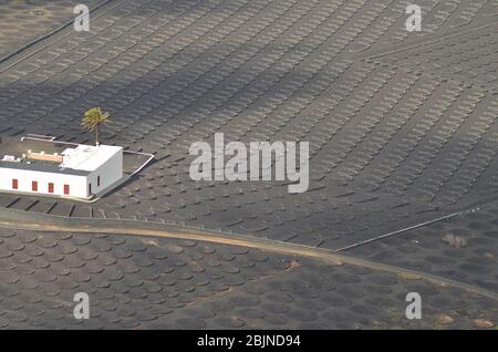 Bâtiment blanc dans les vignobles volcaniques noirs sur l'île de Lanzarote Espagne Banque D'Images