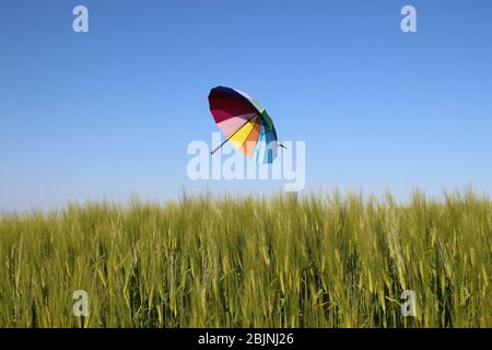 Parapluie multicolore flottant sur un champ de blé, France Banque D'Images