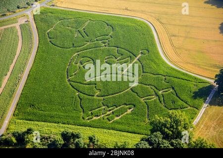 , labyrinthe avec le contour d'un globe dans un champ dans le district de Cappenberg, 06.07.2017, vue aérienne, Allemagne, Rhénanie-du-Nord-Westphalie, région de la Ruhr, Selm Banque D'Images