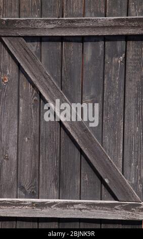 un arbre de conifères de bois de texture craqué de pin gris et brun Banque D'Images