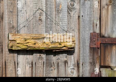 aide à la nidification pour les abeilles sauvages, morceau de bois cassant sur un mur ensoleillé en bois Banque D'Images