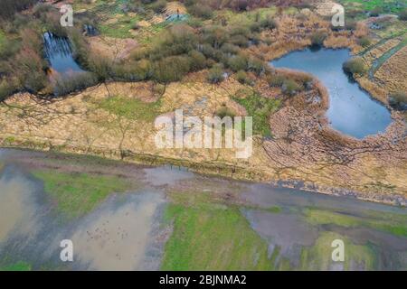 Projet de conservation de la nature inondé Steinbruchwiesen en février, Allemagne, Schleswig-Holstein, Ritzerau Banque D'Images