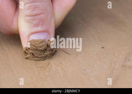 Aide à la nidification des abeilles sauvages faite de boue, essai avec des doigts photo 4/5, Allemagne Banque D'Images