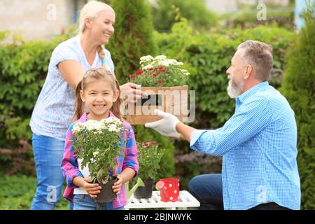 Petite fille tenant plante florissante pendant que ses grands-parents travaillent dans le jardin Banque D'Images