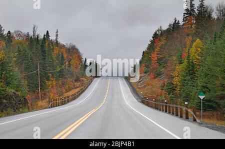 Prenez l'autoroute 60 dans le parc Algonquin, Canada Banque D'Images