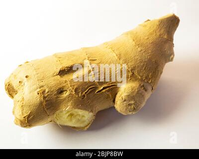 Un pouce de gingembre sur fond blanc Banque D'Images