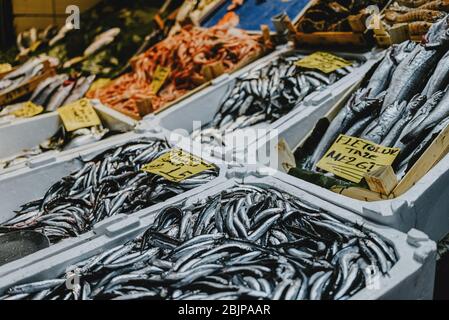 Istanbul Turquie poisson fraîchement pêché sur le comptoir Banque D'Images