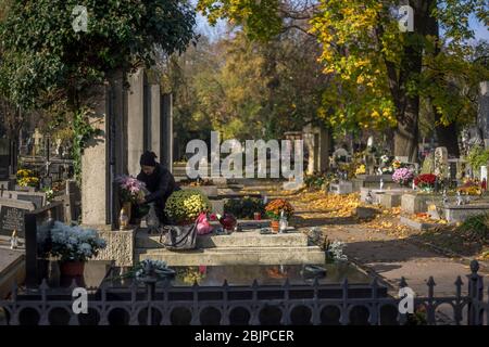 Une dame place des fleurs sur une tombe dans le cimetière de Rakowicki à Cracovie, Pologne 2019. Banque D'Images