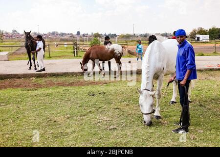 Soweto, Afrique du Sud - 16 avril 2012 : jeunes enfants africains tenant les rênes d'un cheval Banque D'Images