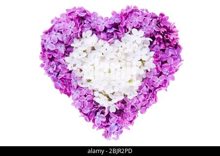 Symbole coeur en fleurs de Lilac violées fraîches isolées sur fond blanc. Concept d'amour pour la Saint-Valentin et la fête des mères. Banque D'Images