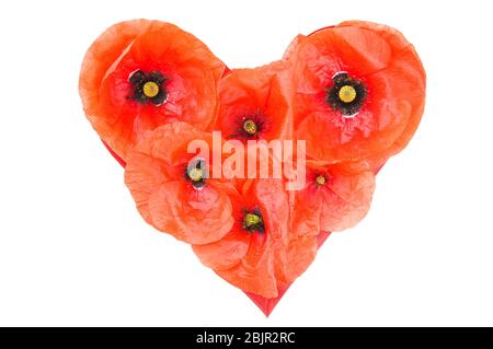 Symbole coeur en fleurs de coquelicots sauvages rouges fraîches isolées sur fond blanc. Concept d'amour pour la Saint-Valentin et la fête des mères. Banque D'Images