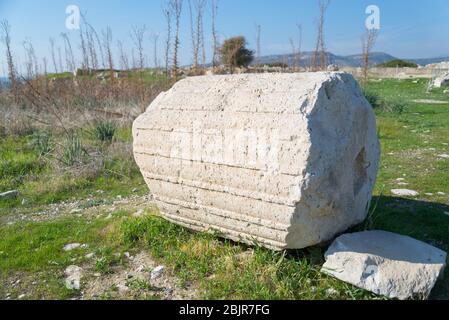 Un grand fragment de colonne parmi les ruines de l'ancienne ville romaine d'Amathus, Chypre. Banque D'Images