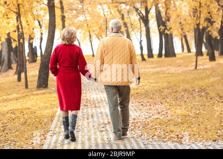 Vieux couple walking in park sur jour d'automne Banque D'Images