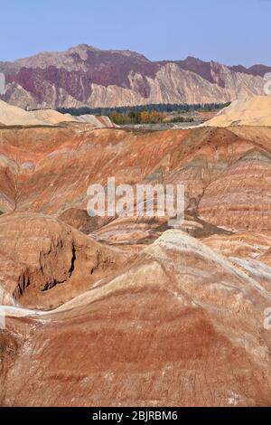 Relief marin des nuages de la terrasse d'observation colorée de la mer des nuages. Zhangye Danxia-Qicai Scenic Spot-Gansu-Chine-0841 Banque D'Images