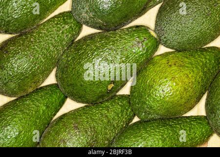 Avocat, fond régulier de poire d'alligator. Macro. Détails complets. L'avocat ou la poire alligator est un fruit, botaniquement une grande baie qui contient un si Banque D'Images