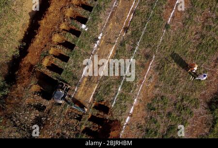 30 avril 2020: Le cimetière de Vila Formosa, sur le côté est de Sao Paulo, a commencé samedi 18, avec une douzaine de excavatrices ouvrant de nouvelles tombes. Vers 9 h 30, au moins 12 nouvelles machines travaillaient dans une aile du cimetière, creusant des fosses, côte à côte. Selon le syndicat municipal des travailleurs de l'administration publique, des tombes sont en préparation pour les victimes du covid-19. Crédit: Dario Oliveira/ZUMA Wire/Alay Live News Banque D'Images