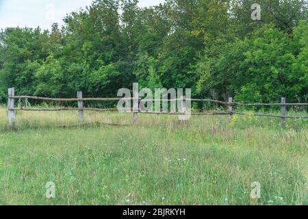 Clôture en bois rustique primitif en face de la forêt Banque D'Images