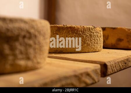 Fromage artisanal de Serra da Canastra à base de lait de Caracu et de Girolando, Minas Gerais, Brésil. Banque D'Images